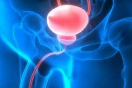 PROSTATAPgx Oncologia de prostata PROSTATAPgx Oncologia de prostata