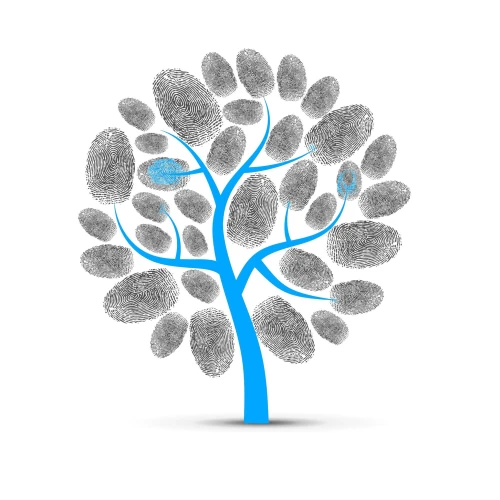 Soy farmac�utico acompa�ante en procesos y meditador